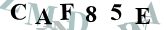CAPTCHA
